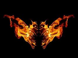 A beautiful flame shaped as imagined. like from hell, showing a dangerous and fiery fervor, black background. photo