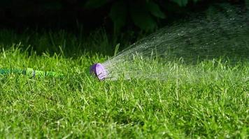 Watering the lawn manual garden sprinkler video