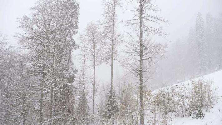 大風雪影片