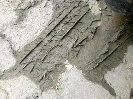 car tire prints on the mud photo