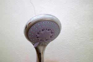 The end of the shower head is rounded for bathing photo