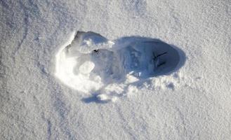 Ruts on a snow photo