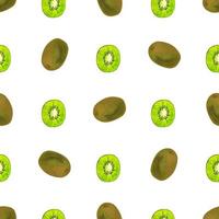 Seamless pattern with iIlustration a kiwi on a white background vector