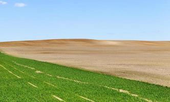 plowed field, sky photo