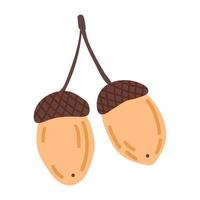 Acorns Doodle style Cozy Autumn. Flat vector illustration