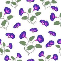 Morning glories, seamless pattern vector