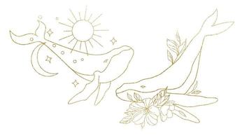 Logo template in linear golden style. Two whales with moon and flowers. Esoteric illustration with moon and stars vector