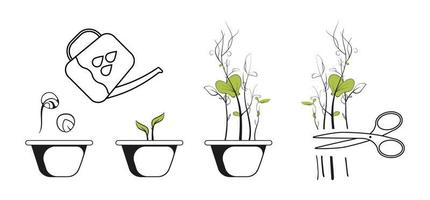 Instructions for sowing microgreens all year round at home. Spraying green growths. Hand drawn sketch. Isolated on white background. Vector. vector