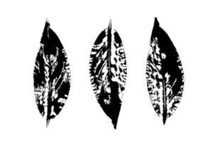 Vector Stamp willow leaf print. Set with stamp leaves. Hand drawn floral elements for your design