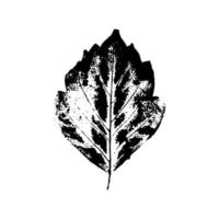 black leaves imprints on white background. Hand drawn floral elements. vector foliage stamp