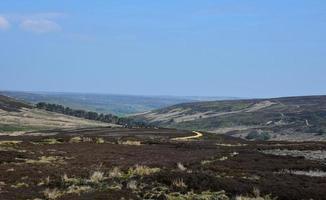 Rural Boggy Moorland as Far as the Eye Can See photo