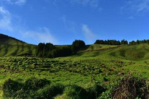 Picture Perfect Hills of Sao Miguel in the Azores photo