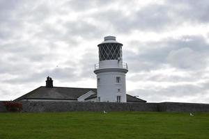 faro de st bees con vacas pastando frente a él foto