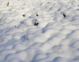 wavy snow surface photo