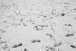 superficie de nieve ondulada después de nevadas foto