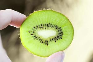 kiwi fruit, close up photo