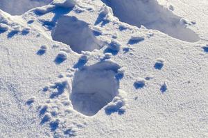 deep snow drifts photo