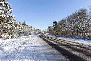 carretera asfaltada, bosque foto