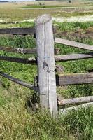 old gray wooden fence photo