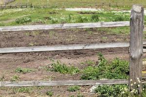 old gray wooden fence photo