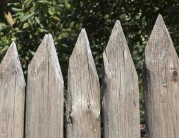 old wooden palisade photo