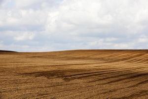 brownplowed  soil photo