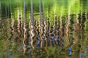 reflection in the water photo