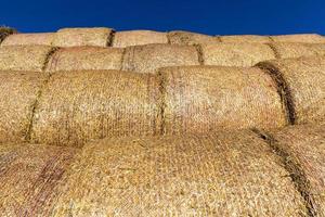 cylindrical stacks, close up photo