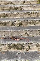 old stone staircase photo