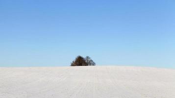 Snow drifts in winter photo