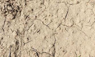 soil field, close up photo