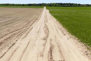 field road and forest photo