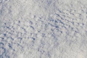 Snow drifts in winter photo