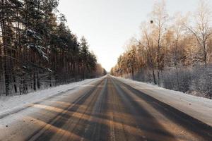 Winter forest, close-up photo