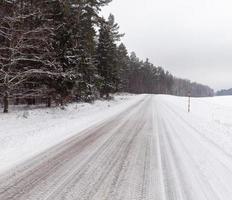 camino en invierno foto