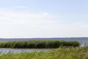 deep lake with grass photo