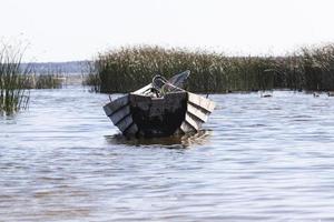 old wooden boat photo