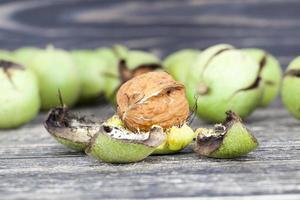 broken walnuts, close up photo