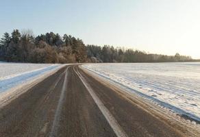 ventisqueros en invierno foto