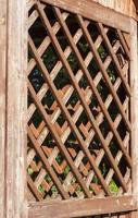 wooden lattice arbor photo