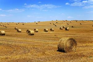straw stack, field photo