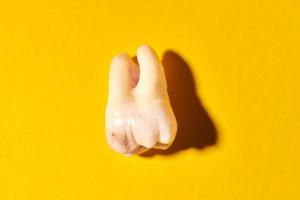 Wisdom tooth with tooth decay, yellow background photo