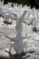 gran estatua de conejo blanco hecha de yeso vista trasera, exposición de arte al aire libre, liebre extraña artificial foto