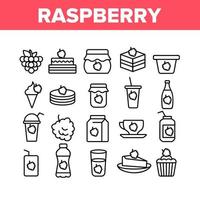 Raspberry Nutrition Collection Icons Set Vector