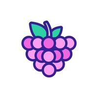 Raspberry icon vector. Isolated contour symbol illustration vector