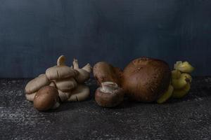 Delicious mushrooms on rustic background photo