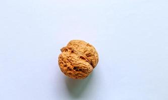 One walnut on white background. photo