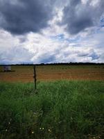 A large green field with trees in the background photo