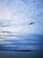 A large seagull flying through a cloudy blue sky photo