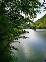 A body of water surrounded by trees photo